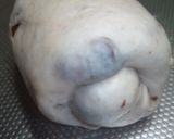 レーズンとクルミのふわふわ食パン♪作り方6写真