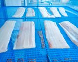 タチウオの干物（塩干し）作り方6写真