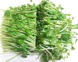 豆苗の温サラダ作り方1写真