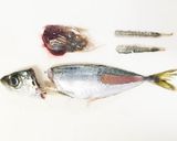 鯵の南蛮漬け(さっぱりタイプ)作り方4写真