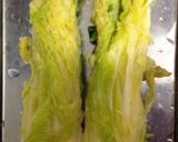 白菜漬け☆チャック付ポリ袋で冷凍下漬け☆作り方2写真