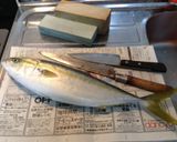 きときと！フクラギ(イナダ)のお刺身作り方1写真