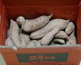 紅参茶と相性抜群！サツマイモスティック！作り方1写真