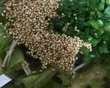 10分!味覇でえのきとレタスの中華スープ作り方6写真