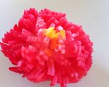 おせちに◎紅白菊花かぶ作り方9写真