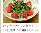 祝☆話題入り混ぜるだけ♪簡単水菜サラダ作り方17写真
