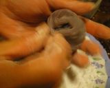 DEKAもちくりーむ✿ ブルーベリー作り方15写真