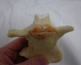 最速のミギーの形をした肉作り方15写真