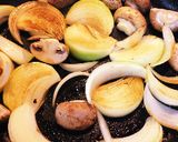 鶏肉の赤ワイン煮込み★トマト缶★作り方7写真