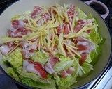 白菜と豚肉のしょうが蒸し焼き作り方3写真