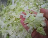 手作りソースで白菜のコールスローサラダ作り方1写真