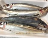鰯のつみれ鍋作り方1写真