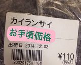 カイラン菜の中華風茹でサラダ作り方1写真