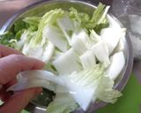 最速の白菜漬け作り方5写真