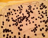 Xmasケーキ★可愛いブッシュドノエル作り方6写真