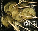 簡単！いちご飴＊ぶどう飴＊べっこうあめ作り方17写真