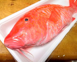 カタカシの煮付け☆煮付けの基本作り方1写真