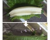 蓮根しそ豚肉巻き-甘辛たれ-作り方2写真