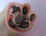 花の飾り餅作り方11写真