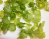 あと一品簡単かぶの浅漬け 色々野菜も◎作り方1写真