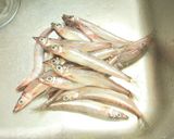 愛知の魚100選 ニギスの炊かず飯作り方1写真