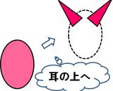 ♡❤ピグレットのパン❤♡作り方8写真