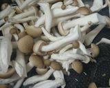 お手軽超簡単！濃厚チーズクリームパスタ作り方4写真