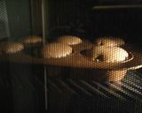 バター無しで作る軽～いココアケーキ♡作り方4写真