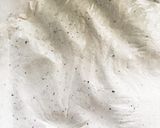 美味し〜紅茶の！ちんすこう風クッキー作り方4写真