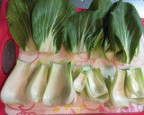 簡単！ちんげん菜のあっさりミルク煮！作り方1写真