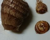 里芋の煮物作り方5写真