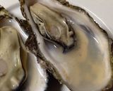 殻付きの牡蠣☆簡単に美味しく食べよう♪作り方7写真