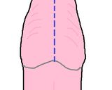 ラパン(うさぎ肉)の捌き方作り方7写真