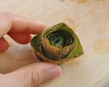 おもてなしに♪キウイの皮でお花作り方8写真