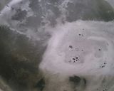 簡単(^3^)/～☆鴨そば作り方4写真