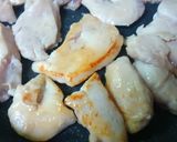 鶏むね肉☆はちみつ照り焼き♪作り方3写真