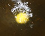 スイートチリソースでレンコンボール作り方5写真