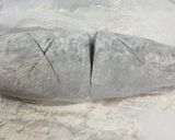 サバの味噌煮作り方4写真