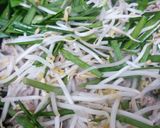もやしとニラのあんかけ作り方4写真