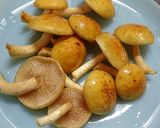 クリタケなど4種キノコと里芋の旨煮作り方3写真