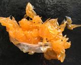 みかん！薄皮から綺麗に剥ぎつぶつぶに！作り方4写真