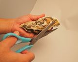 牡蠣（カキ）とホタテの「ガンガン焼き」作り方5写真