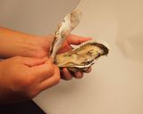 牡蠣（カキ）とホタテの「ガンガン焼き」作り方6写真