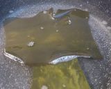♪基本の『だし』の取り方♪作り方5写真