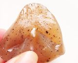 筑前煮は飾り切りでおせちにも◎作り方5写真