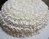 北の大地の抹茶ドームケーキ作り方23写真