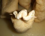 【母の味】たまごきんちゃく煮作り方10写真