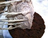°＊チョコ生☆クリスマスケーキ＊゜作り方7写真