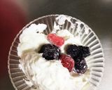 ヨーグルトレアチーズケーキ作り方9写真