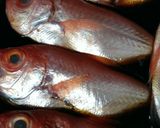 生のお頭つき金目鯛の激ウマ 煮付け作り方3写真